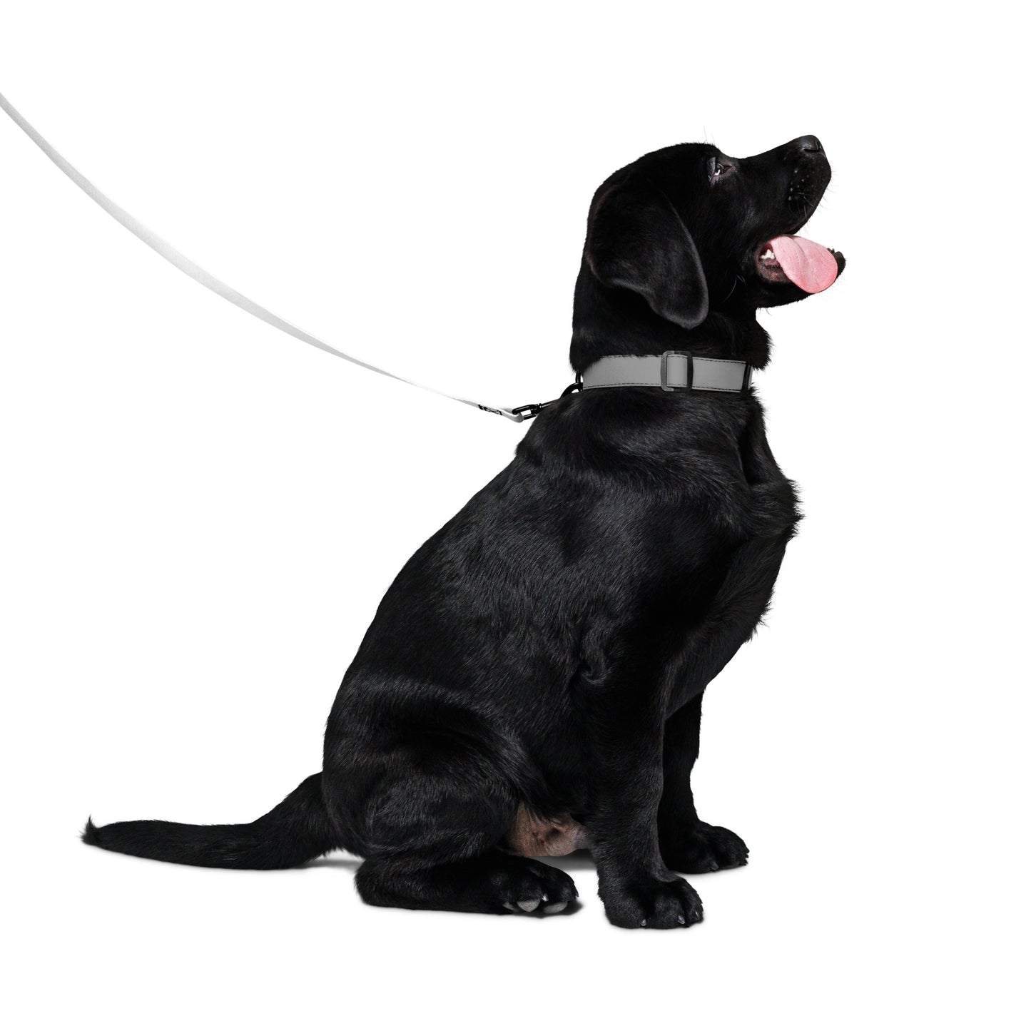 AeroBud Based Leash