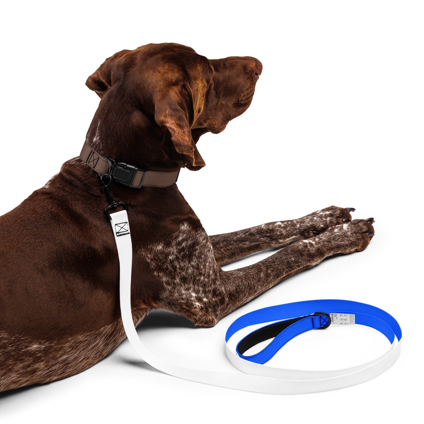 AeroBud Based Leash